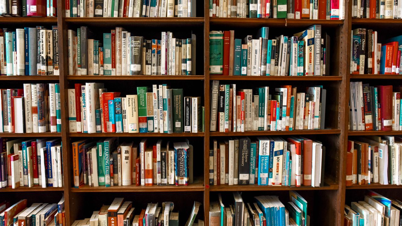 A towering wall of books in many languages